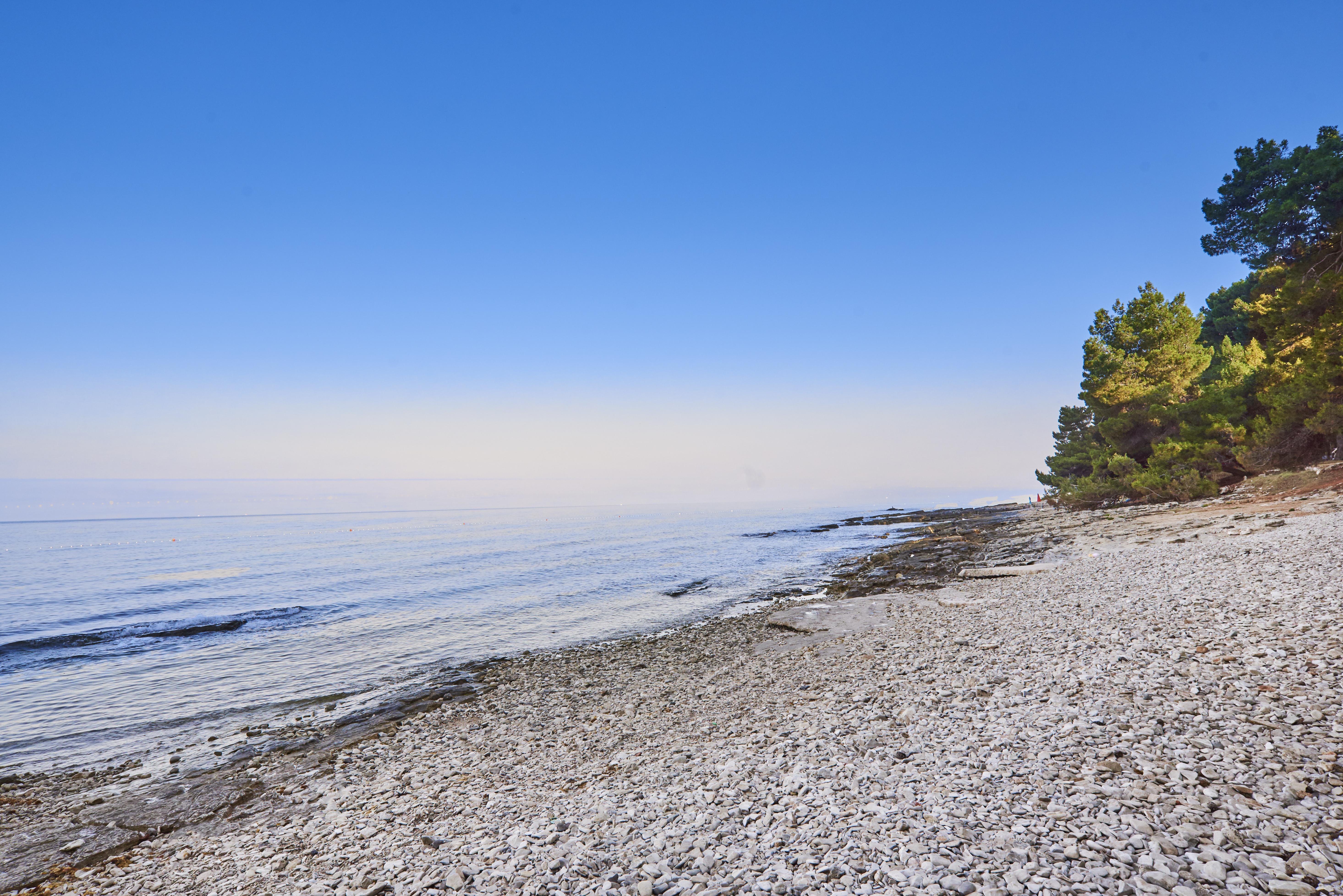 Apartments Savudrija Plava Laguna ウマグ エクステリア 写真